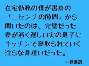 困惑な同人作品！在宅勤務の僕が書斎の「三センチの隙間」から聞いたのは、完璧だった妻が若く逞しい実の息子にキッチンで寝取られていく淫らな息遣いだった。【一発書房】