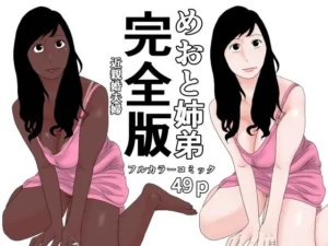 困惑な同人作品!めおと姉弟 完全版【じゅんぴちゅ】