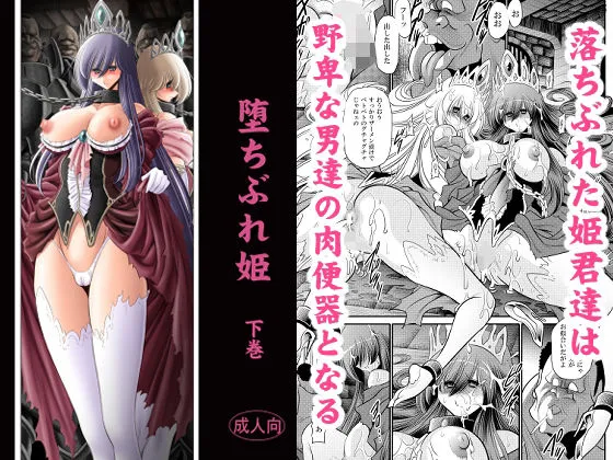 困惑な同人作品!堕ちぶれ姫 下巻【サークル太平天国】
